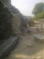 knockduff 9755.jpg