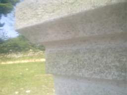 knockduff 9855.jpg