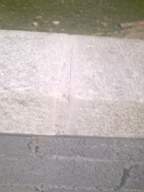knockduff 9870.jpg
