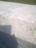 knockduff 9875.jpg