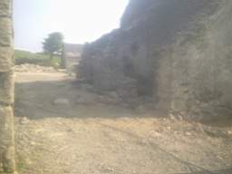 knockduff 9890.jpg