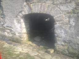 knockduff 9895.jpg