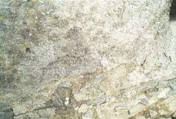IM004733.jpg