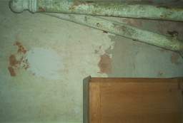 IM004904.jpg