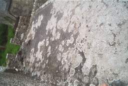 IM004908.jpg