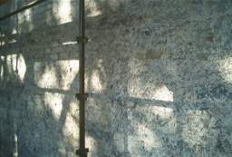 IM005790.JPG