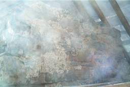 IM005831.JPG