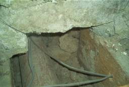 IM005841.JPG