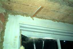 IM005858.JPG