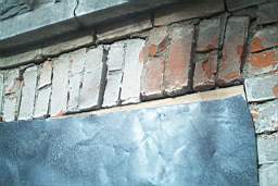 IM005895.JPG