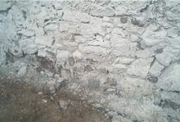 IM005919.JPG