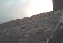 IM005982.JPG