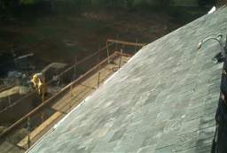 IM005988.JPG