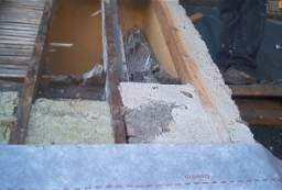 IM006054.JPG
