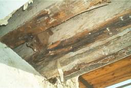 IM006081.JPG