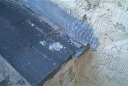 IM006088.JPG