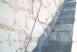 IM006090.JPG