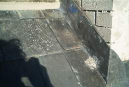 IM006094.JPG