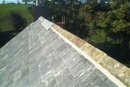 IM006096.JPG