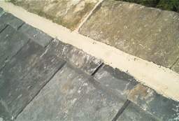 IM006098.JPG