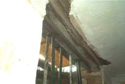 IM006130.JPG