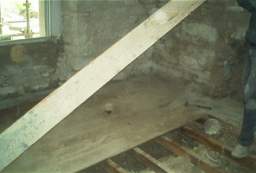 IM006270.JPG