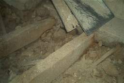 IM006271.JPG