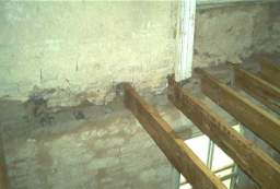 IM006315.JPG