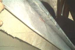 IM006336.JPG