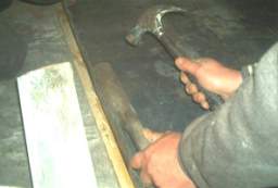IM006339.JPG