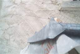 IM006345.JPG