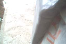 IM006349.JPG