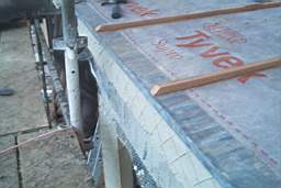 IM006373.JPG