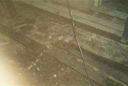 IM006475.JPG