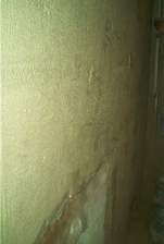 IM006616.JPG