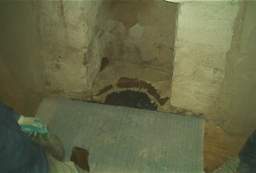 IM006648.JPG