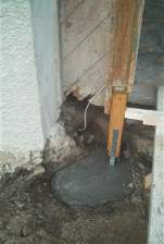 IM006678.JPG