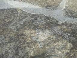 seapoint-1050.jpg