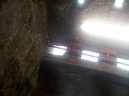 seapoint-1090.jpg