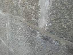 seapoint-1165.jpg