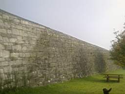 scarpwall-2009.jpg