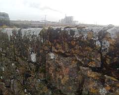 scarpwall-2140.jpg