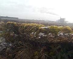 scarpwall-2160.jpg
