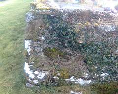 scarpwall-2170.jpg