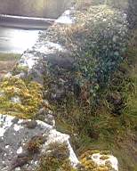 scarpwall-2180.jpg