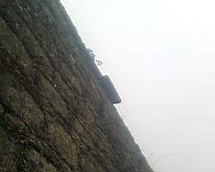 scarpwall-2260.jpg