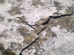 scarpwall-2310.jpg