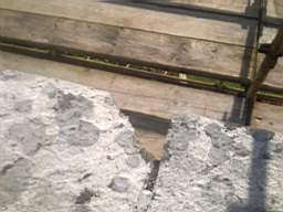 scarpwall-2320.jpg