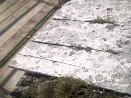 scarpwall-2360.jpg