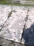 scarpwall-2380.jpg